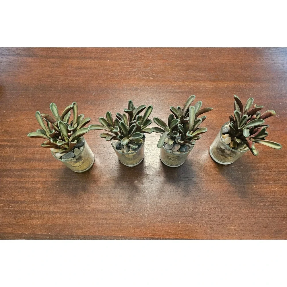 Succulent In Glass Home Decor Set of 4 Green Red Artificial Plants